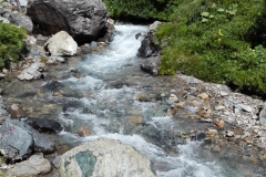 IMG_20150803_110448