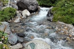 IMG_20150803_110451