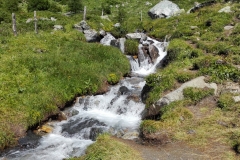 IMG_20150803_110818