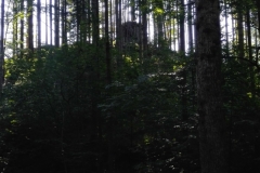 hdr