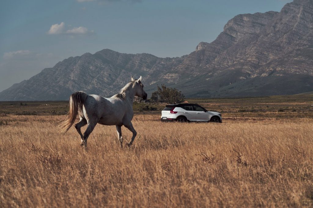 Volvo Cars strukturiert Executive Management um