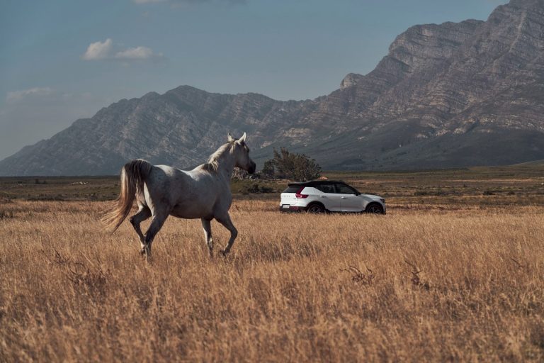 Volvo Cars strukturiert Executive Management um