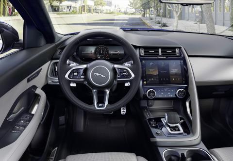Jaguar Neuheiten 2021 – Hybride Katze Jaguar Neuheiten 2021 – Hybride Katze