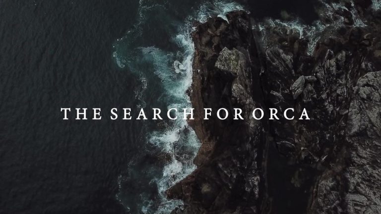 Lizzie Daly, Searching for Orca with Volvo Car UK