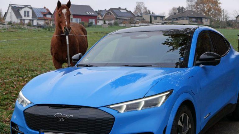 Fahrschulen in Gütersloh, erste Fahrschulen in Europa nutzen Ford Mustang Mach E, um der Generation E das Autofahren beizubringen