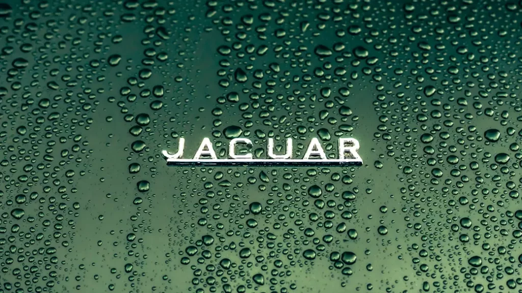 New Jaguar cannot work. Can it?