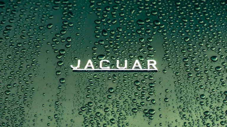 New Jaguar cannot work. Can it?