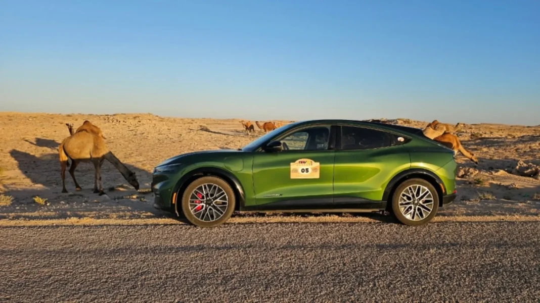 Ford Mustang Mach-E auf großer Expedition: 12.500 Kilometer zwischen Wien und Dakar souverän gemeistert. Ford Mustang Mach-E auf großer Expedition: 12.500 Kilometer zwischen Wien und Dakar souverän gemeistert.